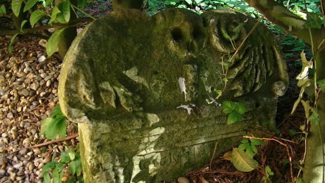 a winged skull on a gravestone hidden in some laurels at some churchyard we was nosing around the other day. only the top of the stone is sticking out of the ground. only the words "here lyeth" is visible. rest has been buried over time. a recent sprinkling of gravel has been chucked under the laurels too by the looks of it.  it is not as picturesque as the last 2 #tombTuesday #mementoMori photos i posted, but then i suppose if your reading this it ain't gonna matter.