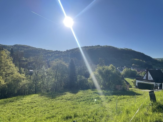 Grüne Hügel in der Morgensonne