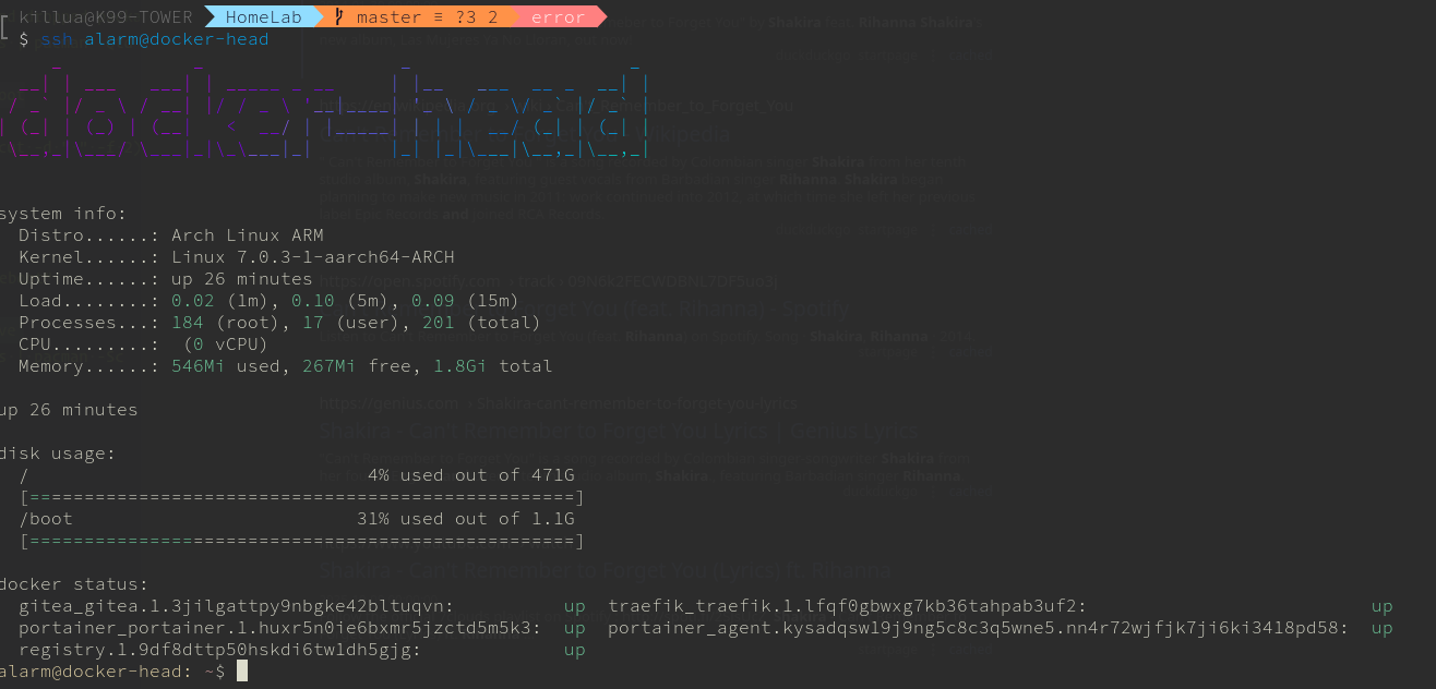 A Linux System showing details about components, CPU, RAM, disk, dockers for Homelab