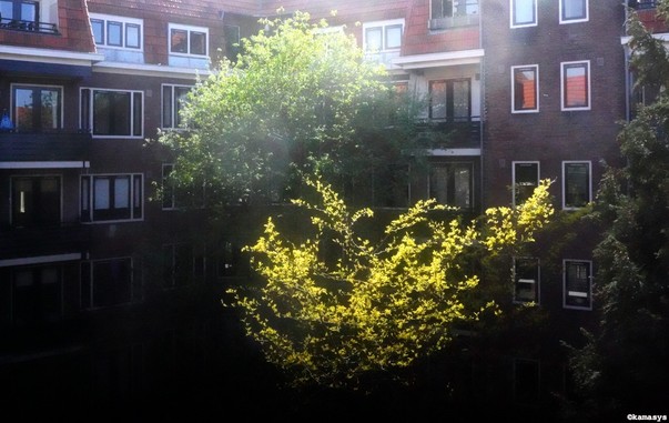 Amsterdam – de Pijp