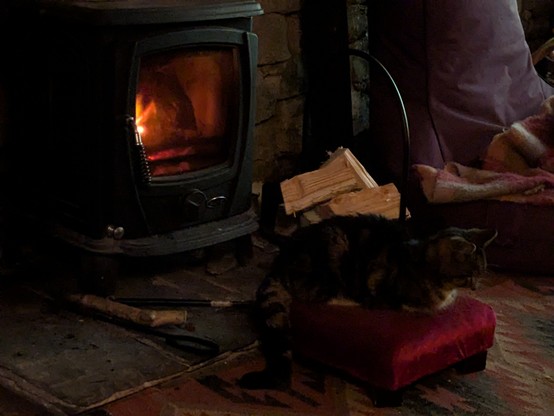 An old and sickly and hesitant and fearful and anxious but nonetheless incredibly sweet and affectionate cat relaxing on an elevated cushion in front of a glowing woodstove by a stone wall in a 17th century cottage somewhere in rural Ireland