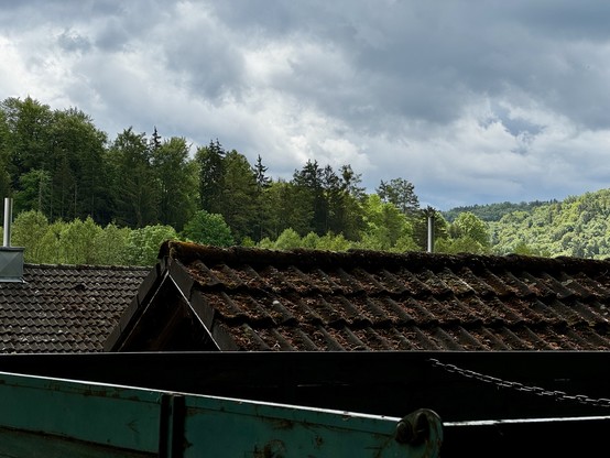 Gerne! Hier eine Bildbeschreibung für nicht sehende Personen:

Das Foto zeigt einen Blick von leicht erhöhter Position auf ein altes, stark vermoostes Ziegeldach. Die dunkelgrauen bis schwarzen Dachziegel sind dicht mit braunem Moos und Laub bedeckt, was auf ein sehr altes oder wenig gepflegtes Gebäude hindeutet. Im Vordergrund unten ist die türkis-grüne Metallwand eines Containers oder Anhängers zu sehen, mit einer sichtbaren Kette und einem Ringbolzen.
Im Hintergrund erstreckt sich ein üppige…