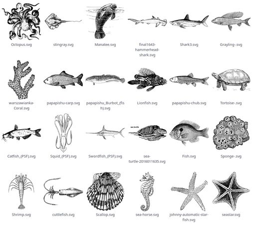 some sea life fishes squids stars horses turtles and shit
