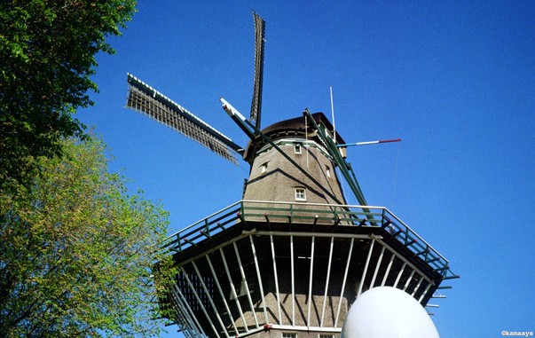 Amsterdam - Zeeburgerstraat - Molen De Gooyer
