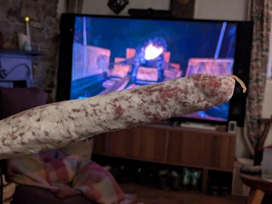 A fuet in front of a television