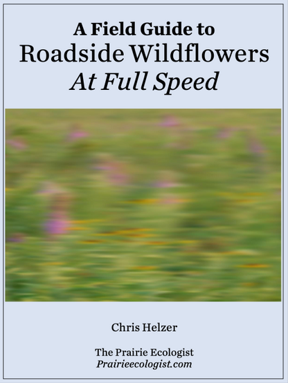 A Field Guide to Roadside Wildflowers At Full Speed

Chris Helzer

The Prairie Ecologist Prairieecologist.com