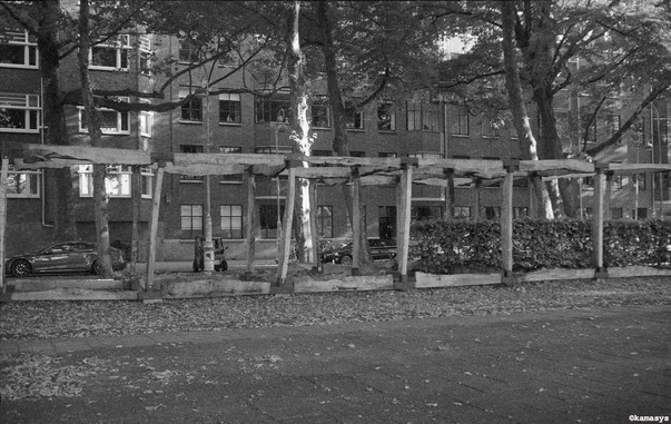 Amsterdam - Apollolaan - ArtZuid 2025 - Art van Triest - On the Grid