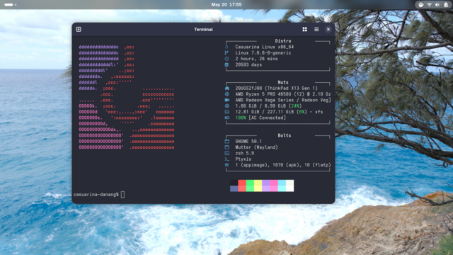Fetch-scrot of Casuarina Linux, the glibc brethren of Chimera Linux