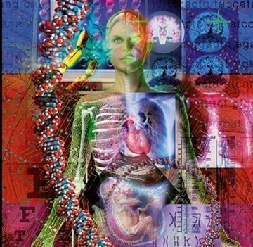 past/future by linda nye. overlaying see through human bodies and wombs and DNA and eye charts and brain scans and motherboards and
