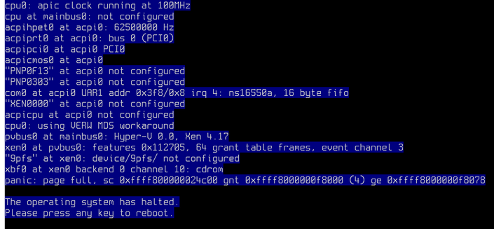 Panic screen attempting to install OpenBSD 7.9 in XCP-ng