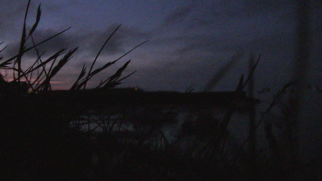 silhouette of grass in front of a silhouette of a harbour wall in front of purple night sky with an orange bit where the sun set. and there is sea. its from a few days ago. imagine a nice warm may heatwave night with fresh sea air in your lungs.