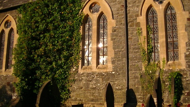 a row of three leaded church windows, with early morning sun reflecting in the center window. ivy covering the wall between the first two and partially growing over the third window. graves in the foreground. church is mid nineteenth century