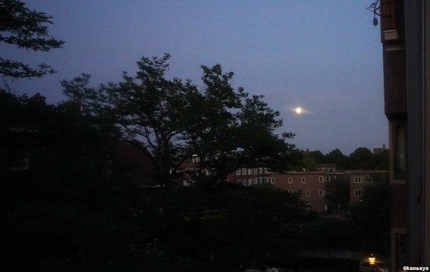 Amsterdam – de Pijp / Rivierenbuurt - maanlicht // luz de luna // moonlight