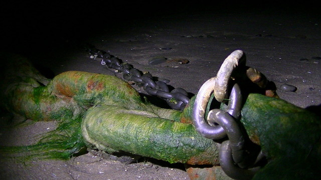 a fat rusty mooring chain mostly covered in green sea algae or weed, with a smaller galvanized chain attached to it. illuminated by torchlight in the dead of night. it is on sand. wet sand. with pebbles few