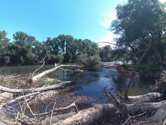 El río Iregua desembocando en el río Ebro