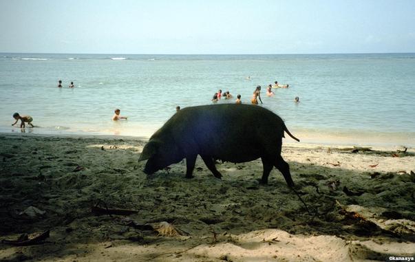 Baracoa – Bahía de Yumurí, Playa Cascajo