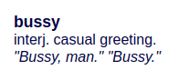 bussy
interj. casual greeting.
"Bussy, man." "Bussy."