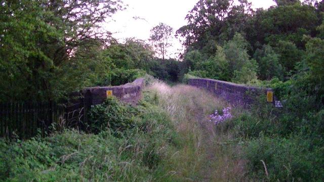 an overgrown footpath with wild flowers that goes over a blue brick bridge looking slightly purple in the evening sun 