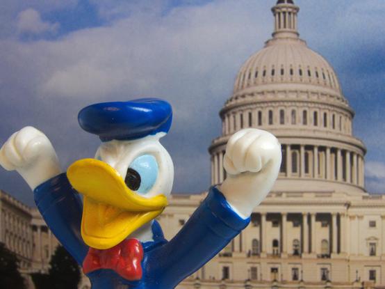 Eine kleine Plastikfigur Donald Duck vor einem Bild des Capitols in Washington D. C.