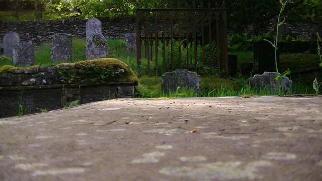 graveyard view from the top of a box tomb. one plot is surrounded by iron railings.
stonewall also in view