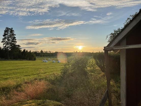 A scenic view of a green field at sunset, featuring rolled hay bales scattered across the landscape. In the foreground, there is a wooden structure partially visible on the right, with trees and shrubs surrounding the area. The sky is filled with colorful clouds