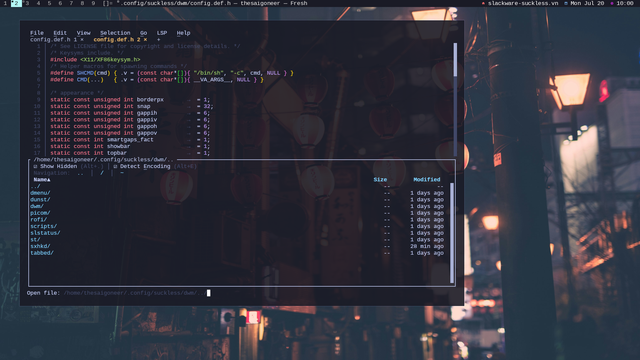 Dwm on Slackware Current, showing the fresh editor