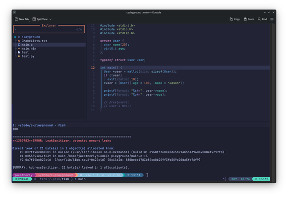 A screenshot of Neovim with the source code that was compiled, and the output of the binary using the clang sanitize options of address and undefined.