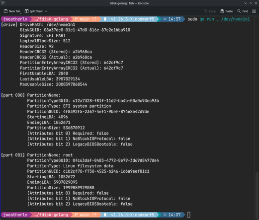 The output of the Go program that takes in a block device, then parses/processes the GPT header information to show all of the relevant information.