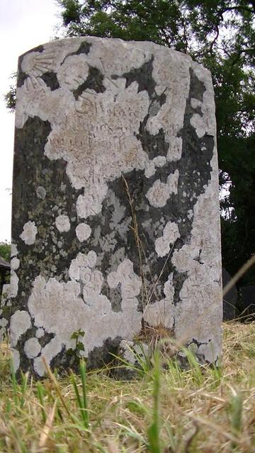 a single grey gravestone, about 60% covered in white lichen. what looks like a carved sun shining rays of light from the top left corner.