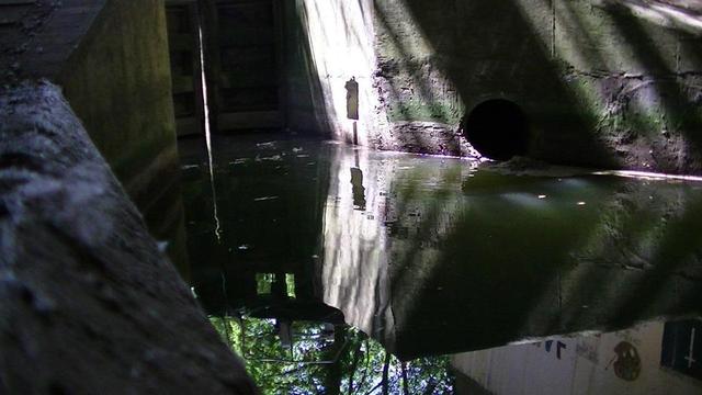 looking at a canal and lock gates under a dual carriageway bridge. some of the graffiti on the tunnel walls is reflected and trees outside tunnel reflected