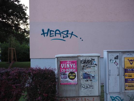 Ein Wort ist an eine Hauswand gesprüht "heast .." . Das ist Wienerisch, kommt vom Wort "(du) hörst" und ist ein Ausdruck für Empörung. Ich bin verleitet noch das Wort "Oida" hinzuzufügen ;-) 