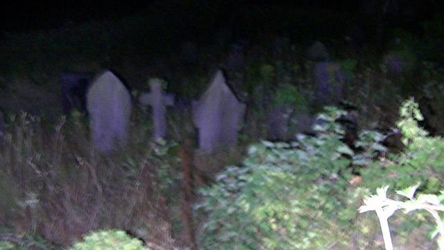 noisy, blurry snap of a graveyard, at night, in torchlight. gravestone in foreground covered in ivy. others are not. it is a very overgrown graveyard though. full of wildflowers in spring. all dry and gone to seed now.