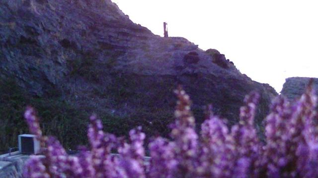 blurry heather in foreground against coastal rock face with some sort of rusty industrial relic, iron thingy like an RSJ full of holes sticking upright out of the rock against the sky.