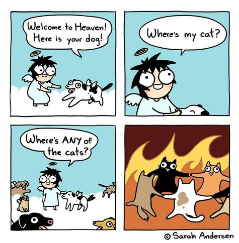Fornecido por @altbot, gerado localmente e de forma privada usando Gemma4:26b e depois editado pelo autor do toot.

Uma tira de quadrinhos de quatro quadros de Sarah Andersen mostrando um personagem com asas e uma auréola interagindo com animais. No primeiro quadro, o personagem está ao lado de um cachorro malhado preto e branco contra um céu azul com nuvens e diz: "Welcome to Heaven! Here is your dog!". No segundo quadro, em um close-up do rosto com olhos arregalados, o personagem pergunta: "W…