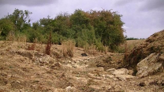 bone dry stream bed meanders through brown grass banks and dried out rocks. dead brown stalks of dock and thistle. the blackthorn and trees have leaves now. some of the blackthorn leaves are scorched. white and dark clouds cover the sky. it rained last night for the first time in many weeks.