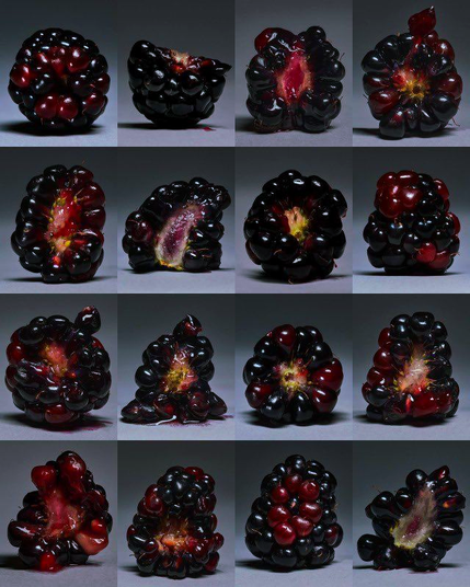 various dark raspberries in various states