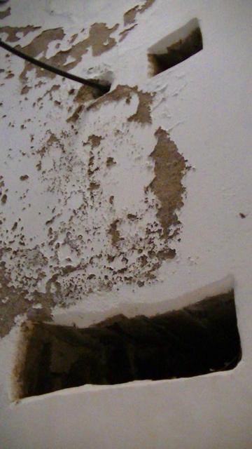 looking up at an arched church tower ceiling. the white paint is flaking. there is four holes for bell ropes no longer there. a round one and i slightly oblong one for a pair of eyes. a wide narrow oblong one for a mouth.