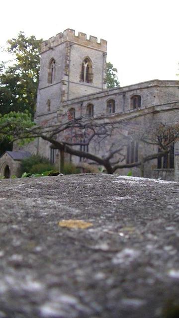 view of a medieval church with a strange looking short wide tree in the middle of the snap, almost horizontal meandering boughs. the church is of limestone with a tower.