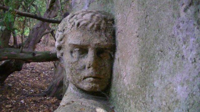 the head of a limestone carving of some bloke tight against a limestone wall in the woods.