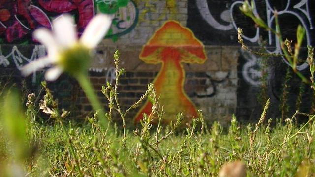 a blue engineering brick Victorian graffitied wall. in the center is an orange mushroom graffiti. in the foreground there is a real wild flower out of focus and other meadow plants in focus.