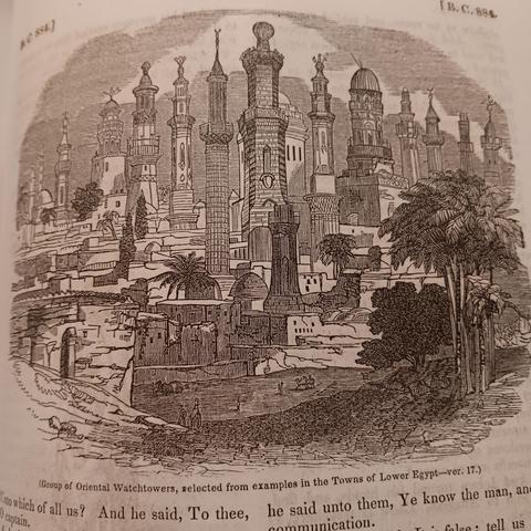 group of "oriental watchtowers", selected from examples in the towns of lower egypt