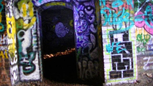heavily grafittied arched doorway opening that connects two viaduct arches. its a bit blurry. i might tag it shittember. the walls and door frame are covered in tags of all colours. the only thing that is in focus is an angry chicken visible on the wall of  the dimly lit next arch along, through the doorway opening. 