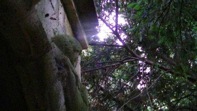looking up at the head of a limestone statue of a woman sleeping and mourning on the hoodmould of a doorway in the woods. a low sun is shining through the branches of the trees. it looks and was very peaceful. i will definitely go back one day.