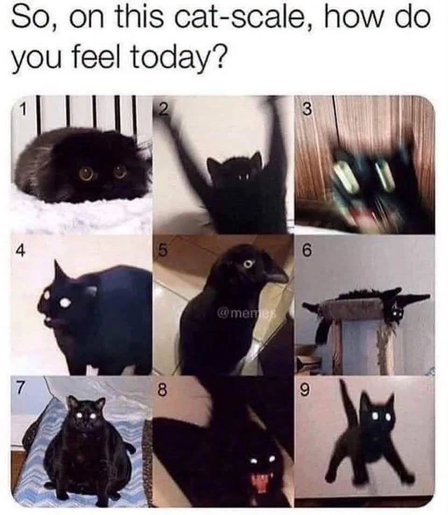 9 little squares containing images of black cats in various mental states/energy levels. Each has a number.