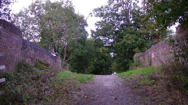 footpath / bridleway leading over a narrow humpback victorian bridge. red brick walls topped with blue brick. well worn railway ballast footpath or whatever, grass and wild plant verges. trees either side of path over the bridge. evening time. railway underneath is now dismantled and being used as farm track.