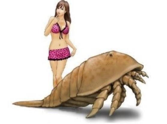 scantily clad woman and hibbertopterus