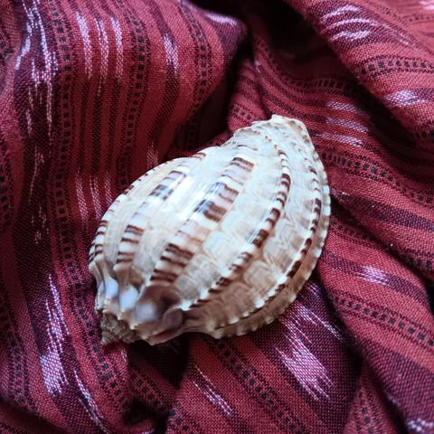 layered stripes and spirals