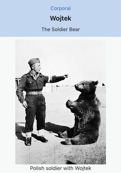 wojtek the soldier bear