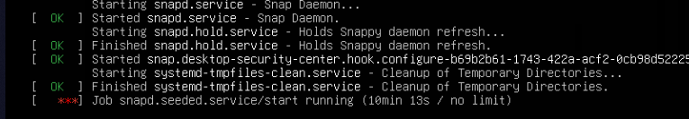 kernel boot message: snapd.seeded.service/start running for 10m 13s and counting