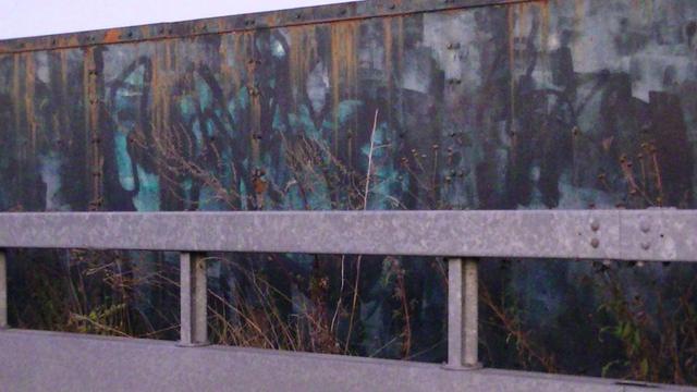 some graffiti on the deep green steel plate behind crash barrier. lots of layers of tags, dried rusty water marks running over the graffiti. abstract looking. wild plants brown and gone to seed. in front of the steel plate. 
